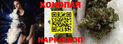 сатива Малгобек