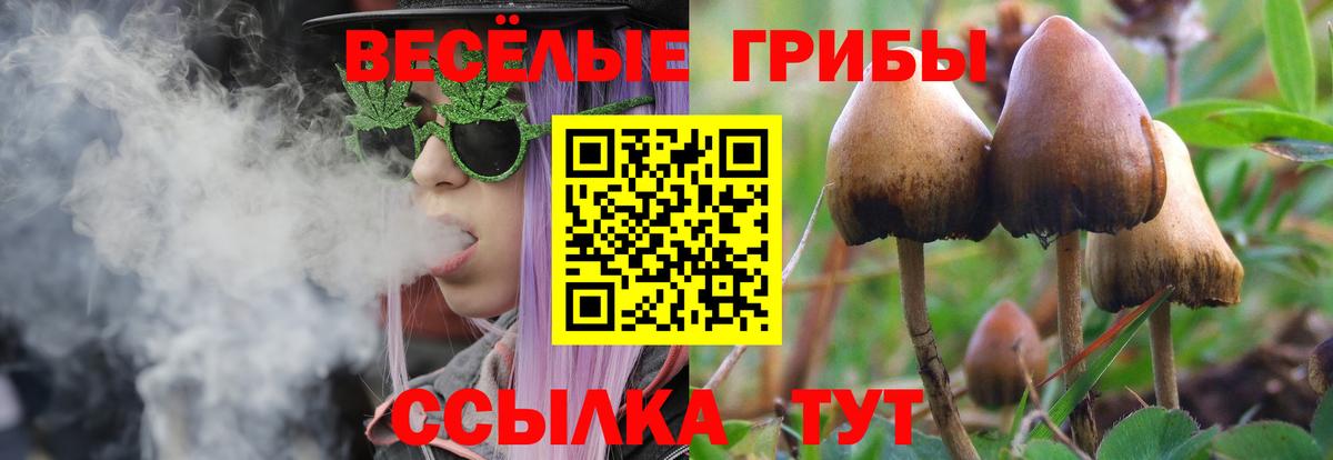 Псилоцибиновые грибы мухоморы Сибай